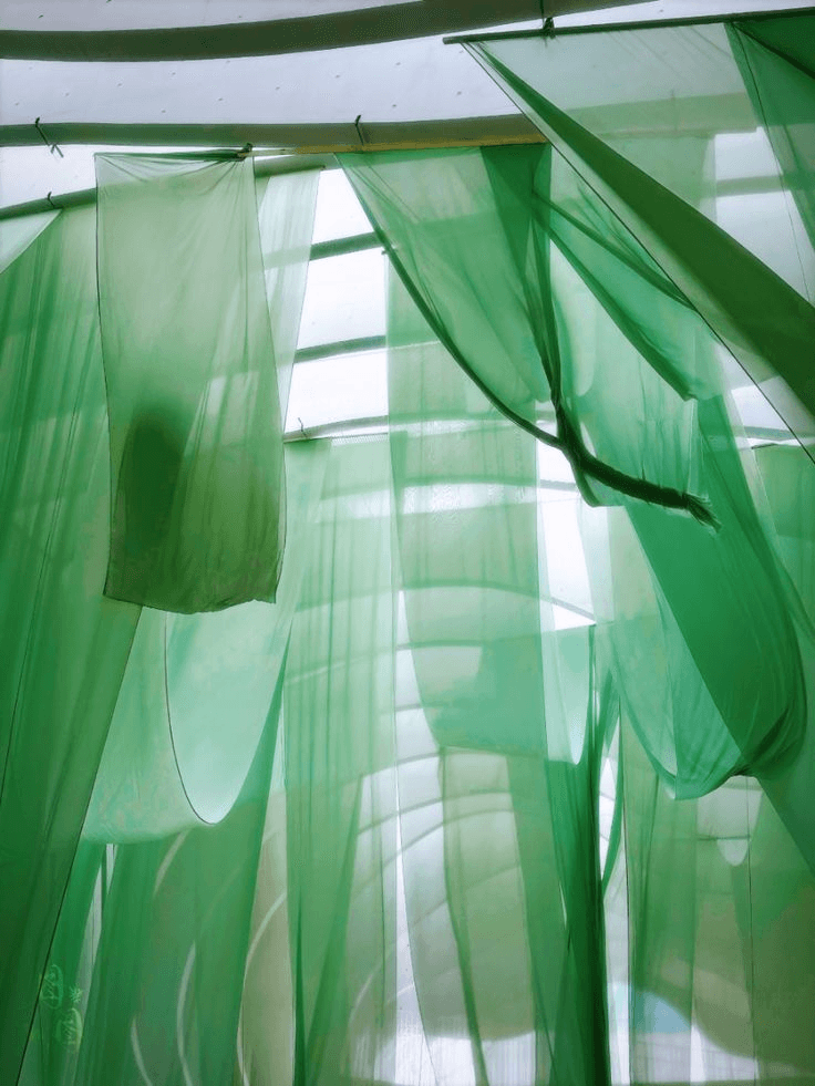 Material & Form - Image 3